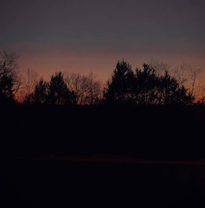 Meet your Posher, Lily